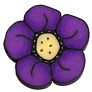 Large Violet Wildflower